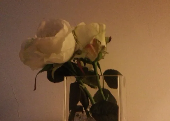 아 플로렌스 뷰 피렌체